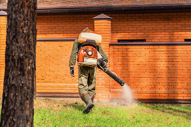 Trusted Bed Bug Control service in Fabrica, TX - Nex Pest Control